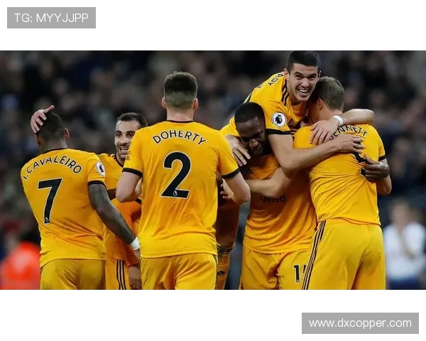 英超狼队球员名单大全及2024赛季表现展望